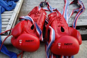Where to buy boxing gloves